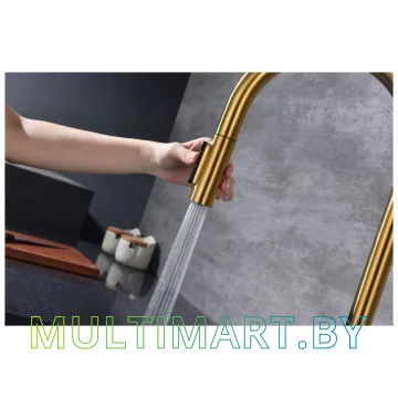 Смеситель Paulmark Universal Un213880-BG (брашированное золото) картинка 11